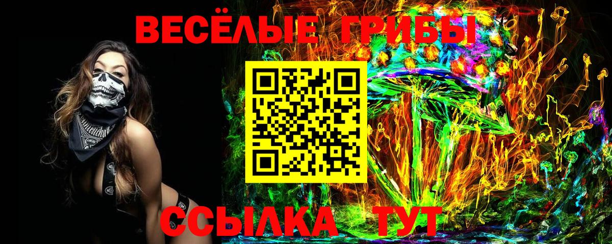 Псилоцибиновые грибы Cubensis Отрадное