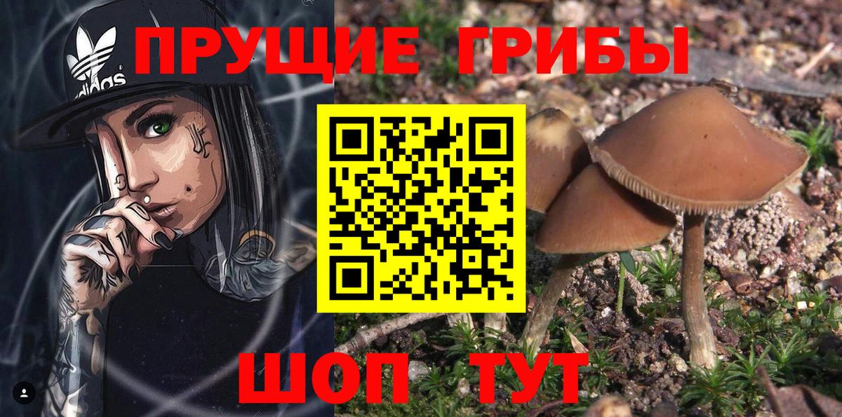 Отрадное  Псилоцибиновые грибы ЛСД  Вход с VPN  Псилоцибиновые грибы мухоморы 